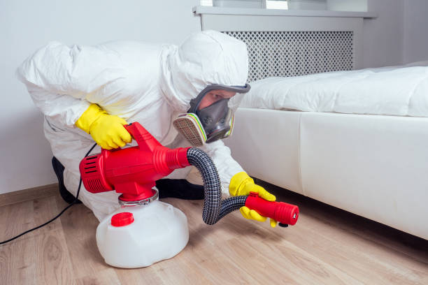 Best Affordable Pest Control Services  in Unionville, MO