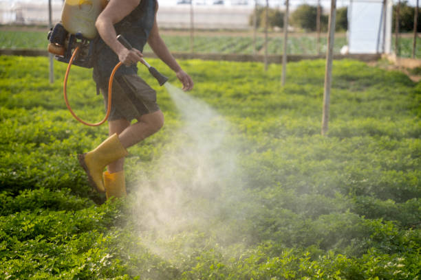 Best Pest Control Cost  in Unionville, MO